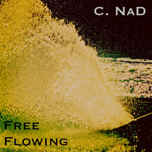 Free Flowing Albumcover