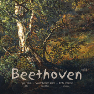 Beethoven Sonatas vol II cover