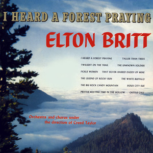 I Heard a Forest Praying album