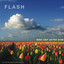 Make Your Garden Grow: Music from The Zang Toi Collections Vol 2 Albumcover