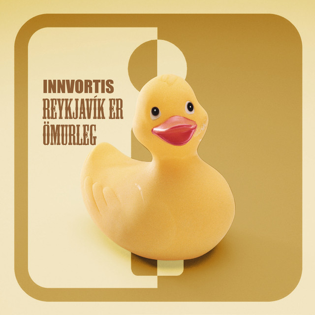 Innvortis Photo