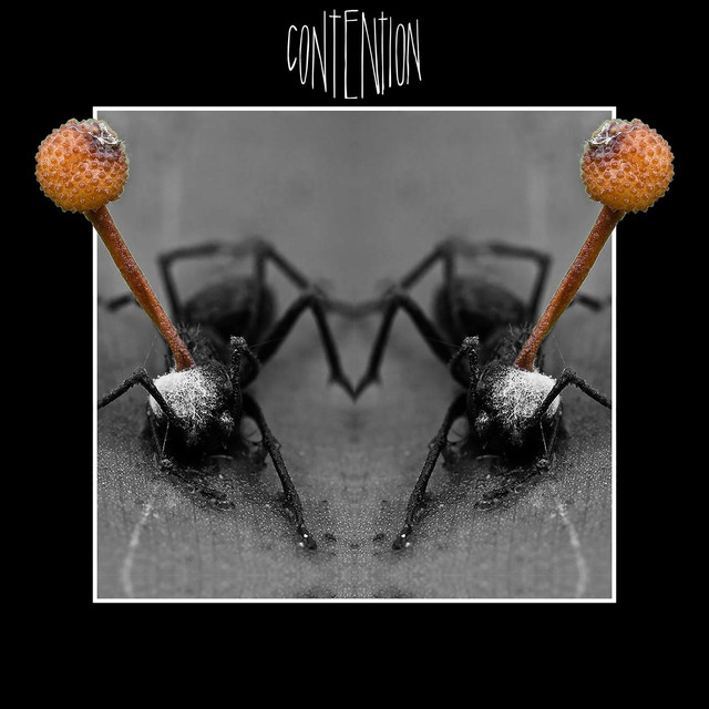 Contention Photo