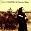 A Thousand Miles Albumcover