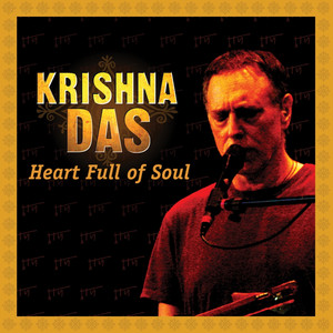 Heart Full of Soul cover
