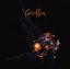 Lifeforce Albumcover