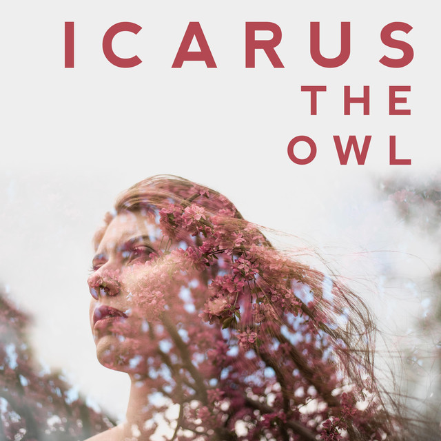 Icarus The Owl photo