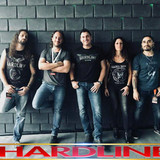 Hardline profile