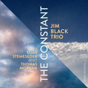 Jim Black Trio Photo