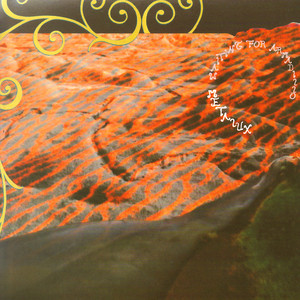 Flexi-Armadillo cover