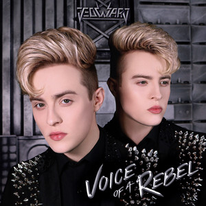 Voice Of A Rebel cover