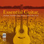 Essential Guitar cover
