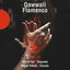 Qawwali Flamenco cover