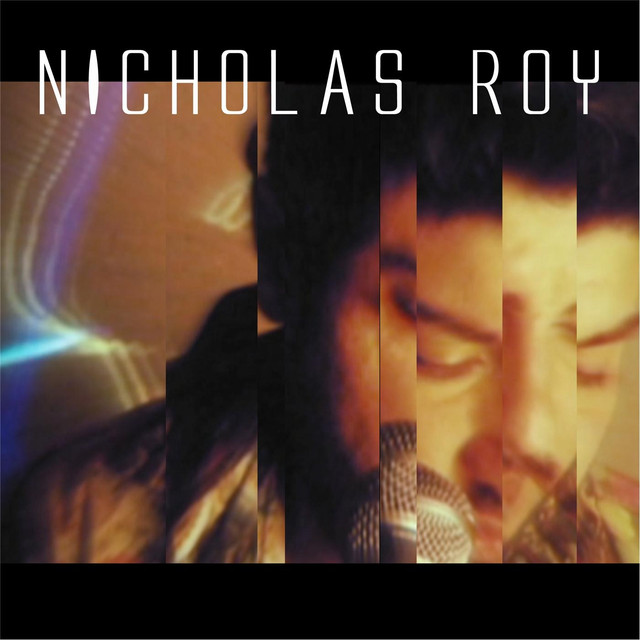 Nicholas Roy Photo