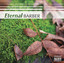Barber (Eternal) cover