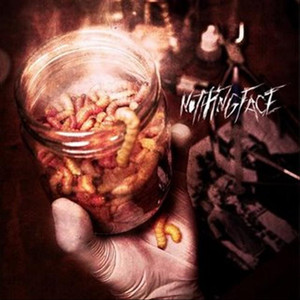 Nothingface cover