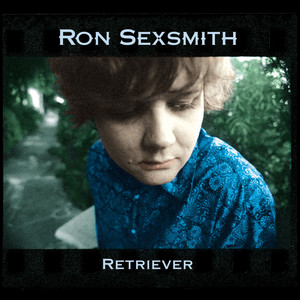 Retriever cover