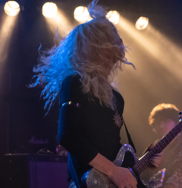 Fever Dog photo