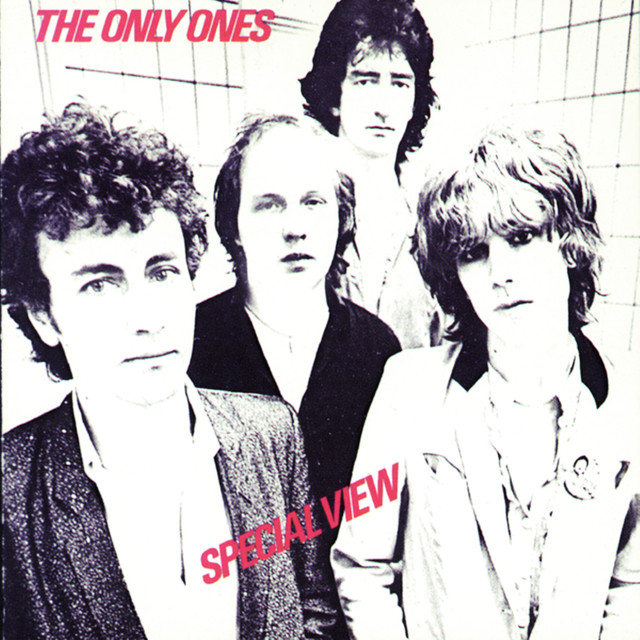 Special View cover