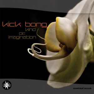 Kind of Imagination cover