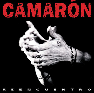 Reencuentro cover