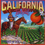 California Albumcover