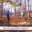 Nervous Grooming Gestures Albumcover