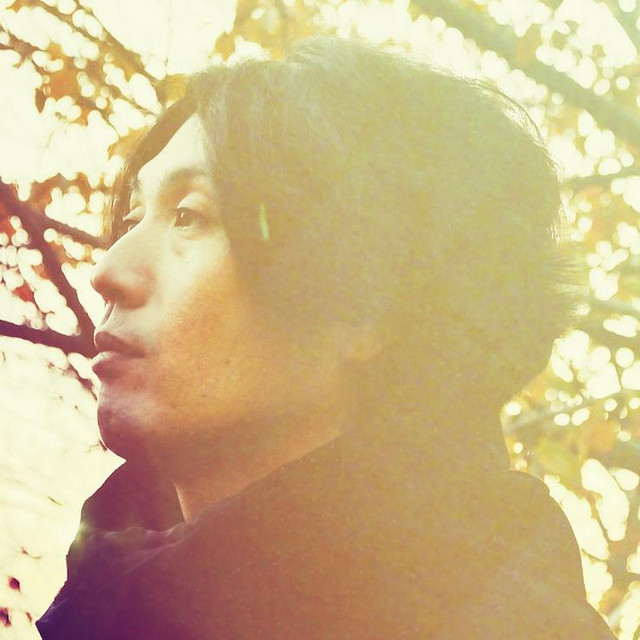 Arc of Doves photo