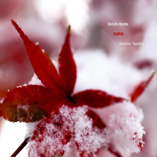 Xara Photo