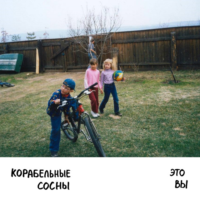 корабельные сосны Photo