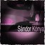 Singer Portrait: Sándor Kónya Albumcover