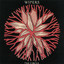 The Circle cover