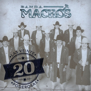 Las 20 Poderosas (USA) album