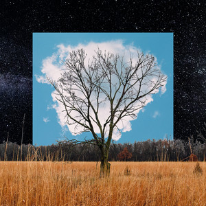 Bloom Innocent cover