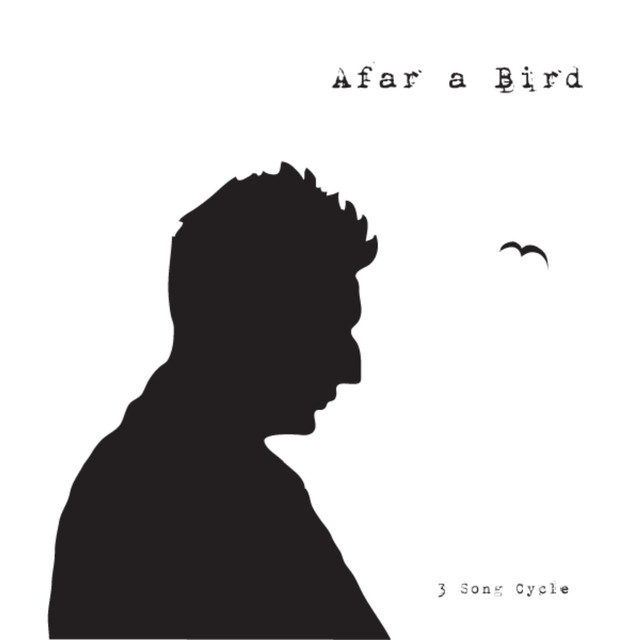 Afar a Bird Photo