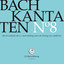 J.S. Bach: Cantatas, Vol. 8 cover