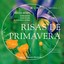 Atmosferas Naturales - Risas de Primavera Albumcover
