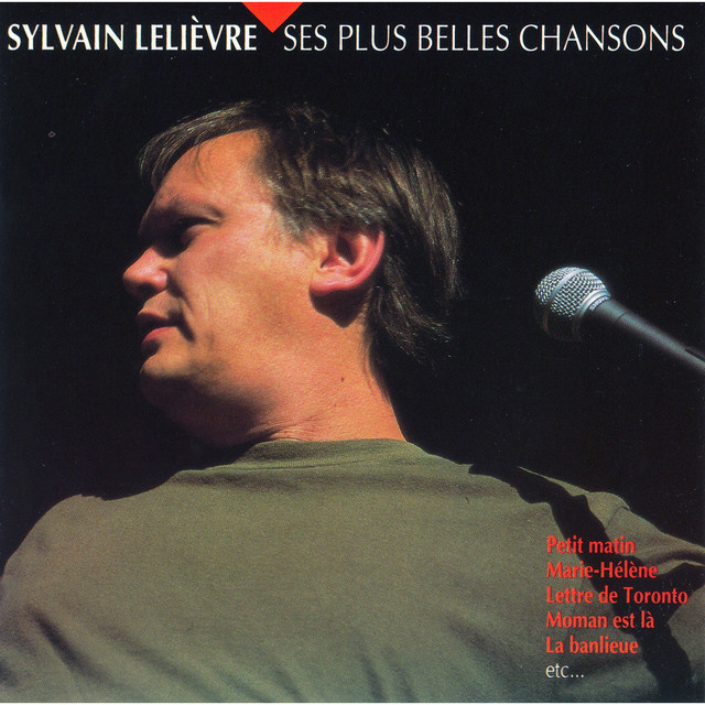 Sylvain Lelièvre photo