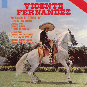 Mi amigo el tordillo cover