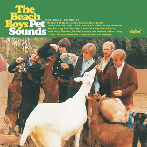 Pet Sounds (Mono) album
