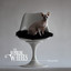 Furry Tales Albumcover