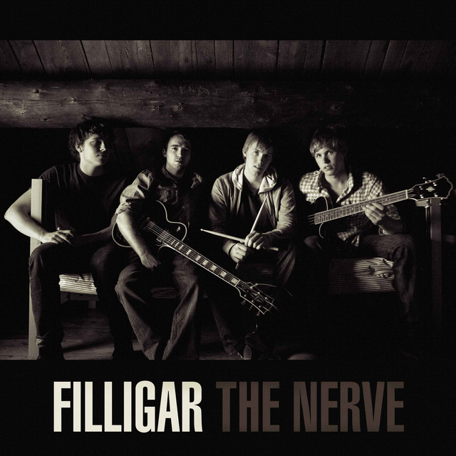 The Nerve cover