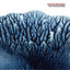 The Dissolving Albumcover