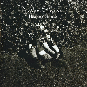 Healing Bones album