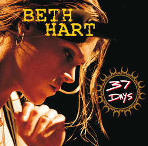 37 Days (Dutch Version) album