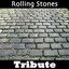 Brown Sugar: Tribute to The Rolling Stones, Vol. 2 Albumcover