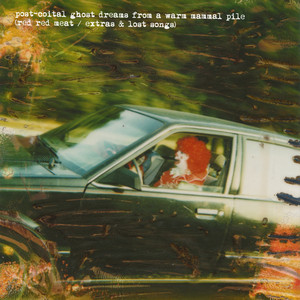Post-Coital Ghost Dreams From a Warm Mammal Pile album