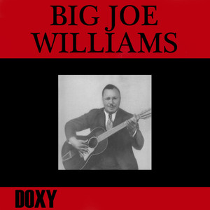 Big Joe Williams (Doxy Collection) album