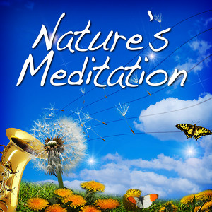 Sounds of Nature White Noise for Mindfulness