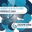 Perfect Day Albumcover