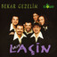Bekar Gezelim Albumcover
